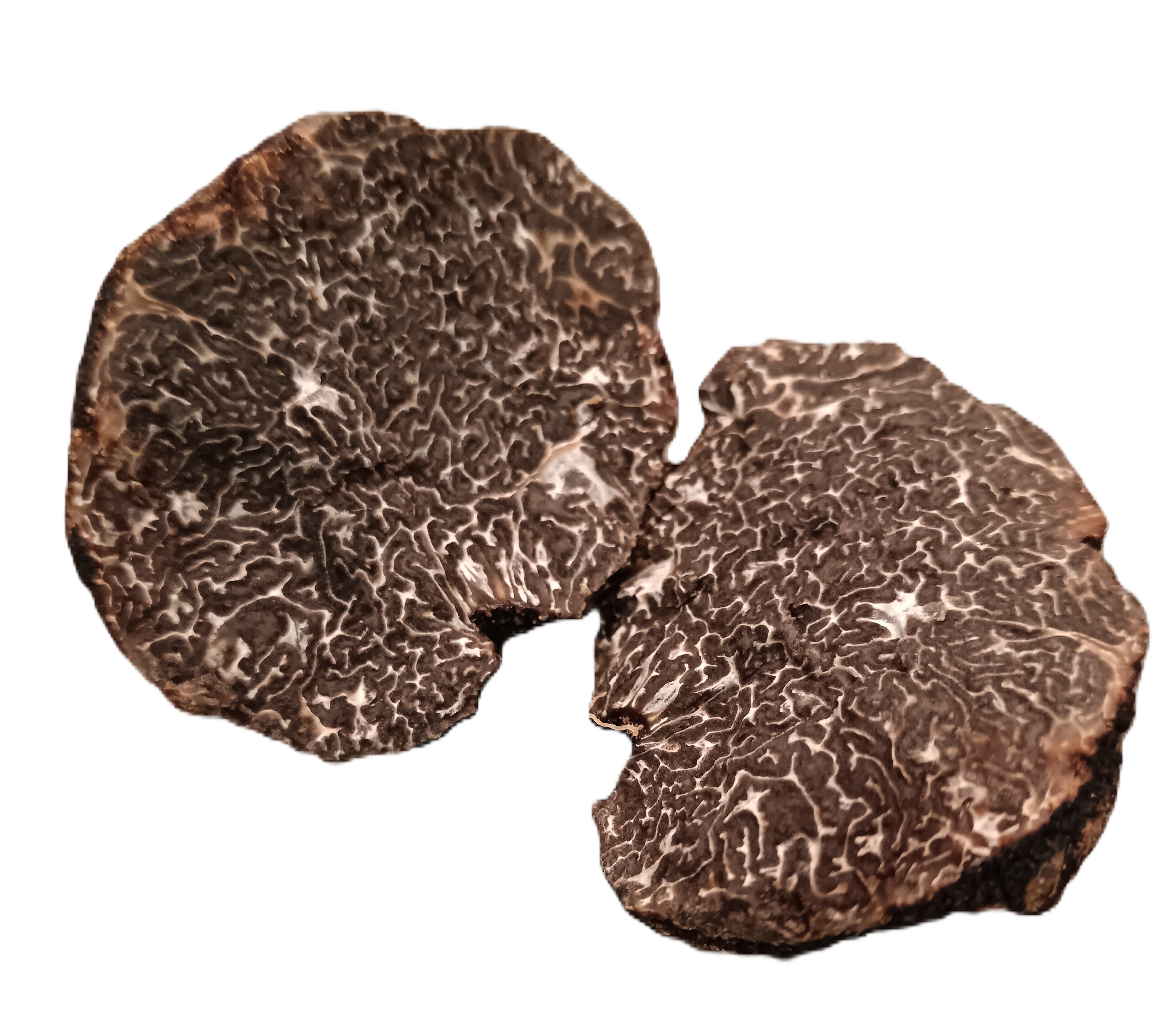 Tuber - Wintertrüffel (Tuber melanosporum) in Gramm (Verkaufsgewicht) 